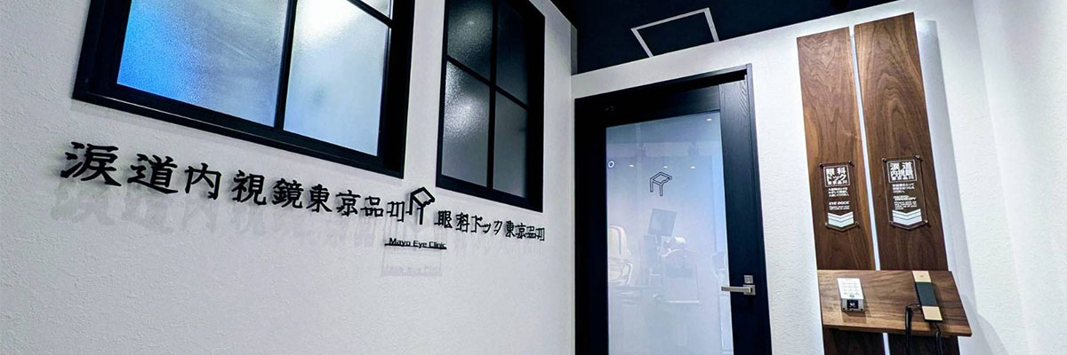 眼科ドック東京品川